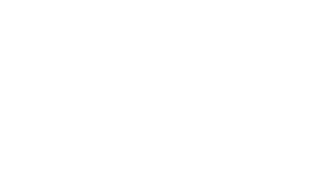BIR